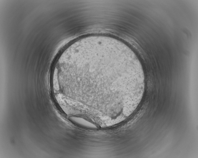 X0000110701030200907241120