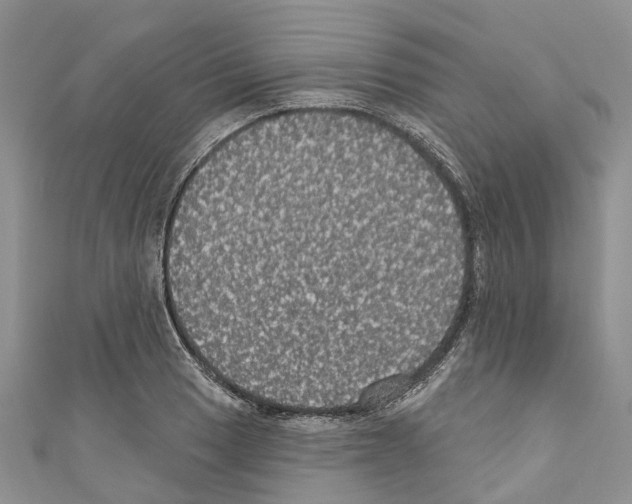 X0000110701033200907241120