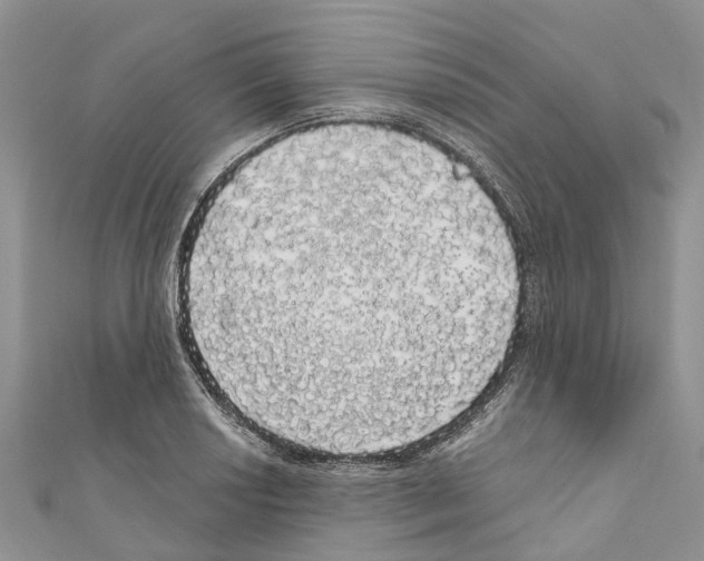 X0000110701034200907241120