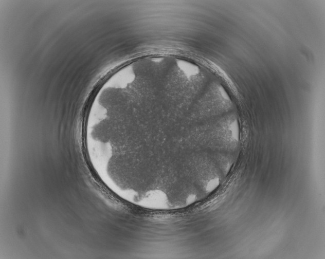 X0000110701035200907241120