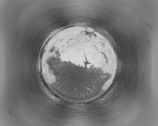 X0000110701036200907241120