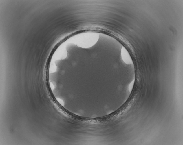 X0000110701037200907241120