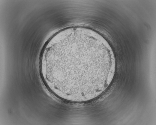 X0000110701038200907241120