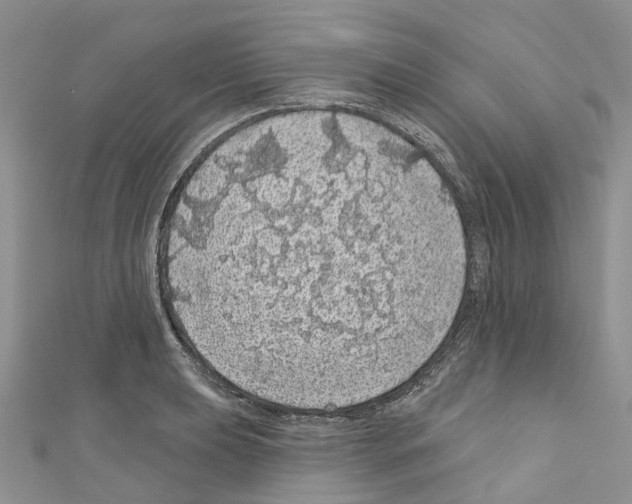 X0000110701039200907241121