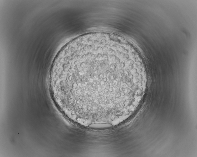 X0000110701040200907241121