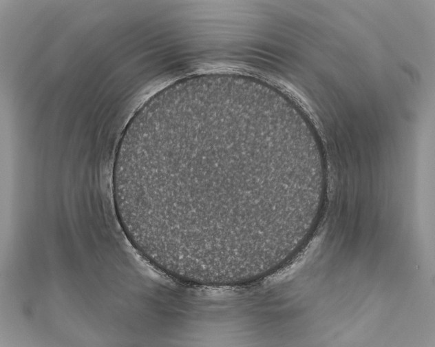 X0000110701041200907241121
