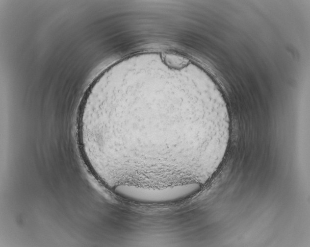 X0000110701042200907241121