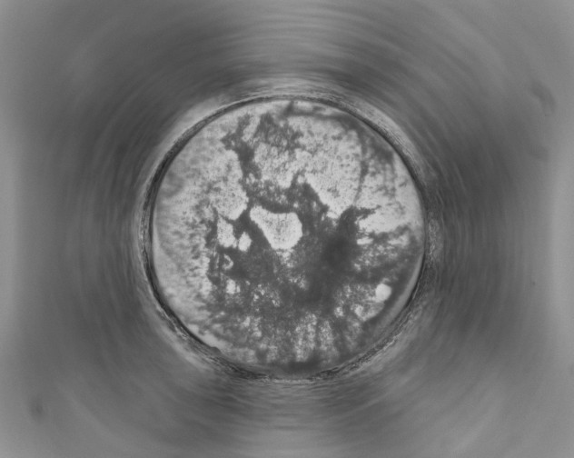X0000110701043200907241121