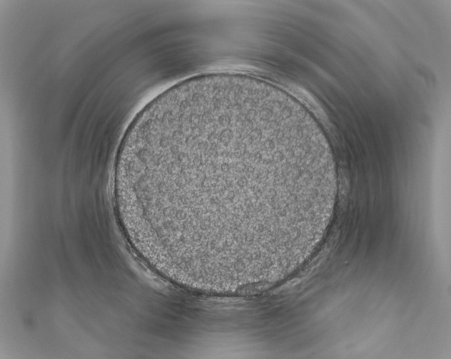 X0000110701044200907241121