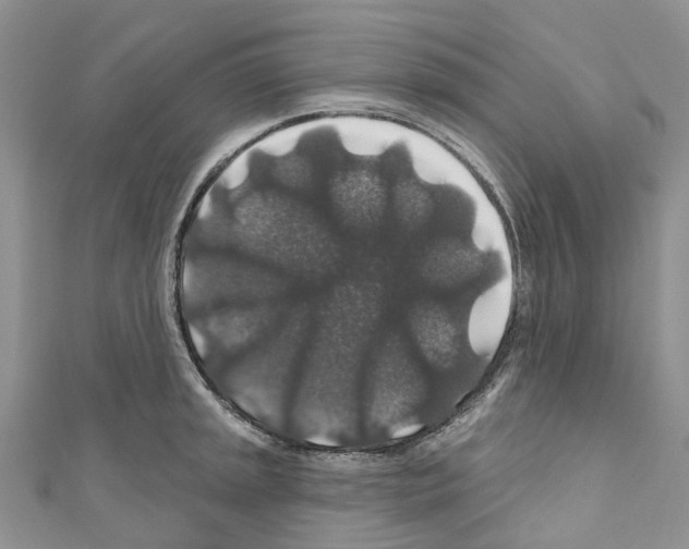 X0000110701045200907241121