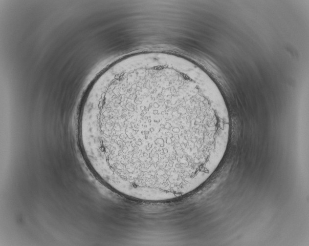 X0000110701046200907241121