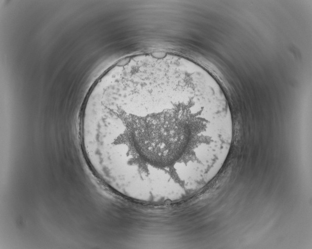 X0000110701047200907241121