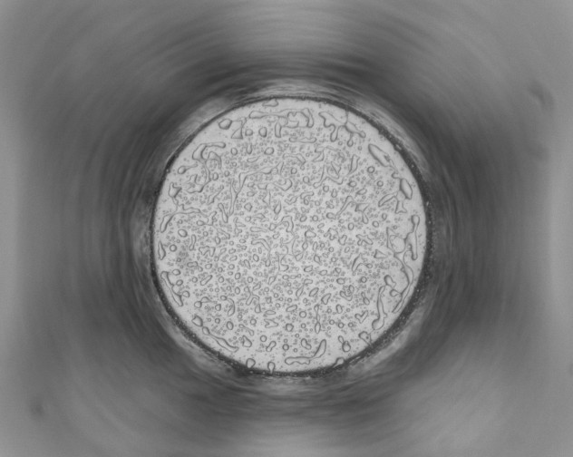 X0000110701049200907241121