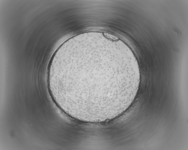 X0000110701050200907241121