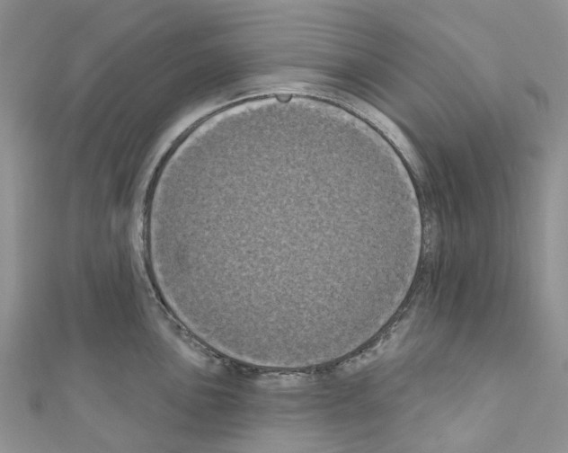 X0000110701051200907241121