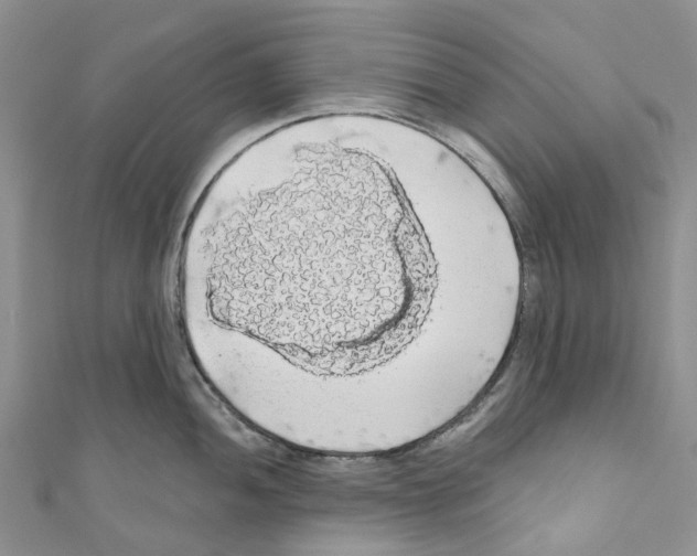 X0000110701052200907241121