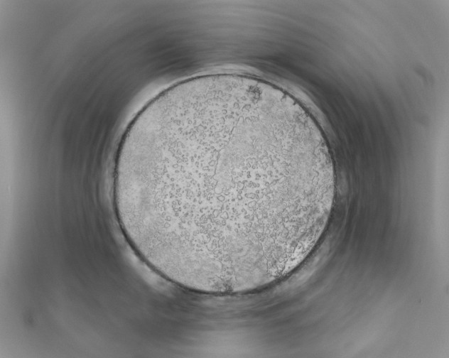 X0000110701054200907241121