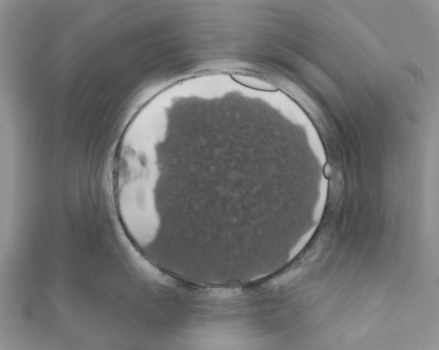 X0000110701055200907241121