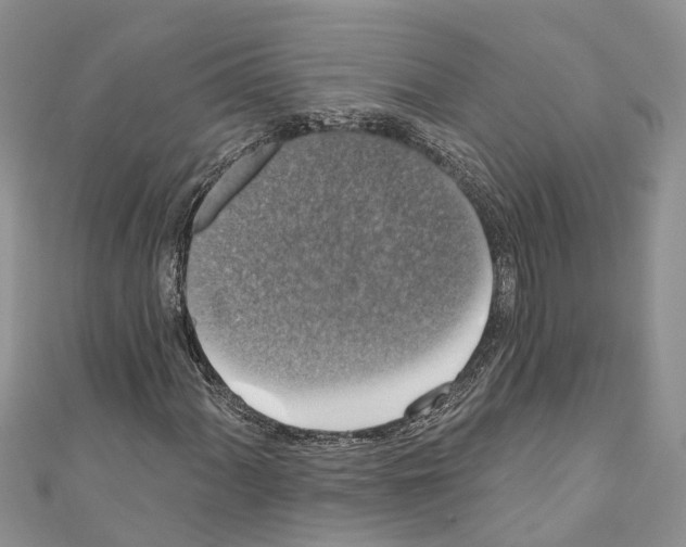 X0000110701060200907241120