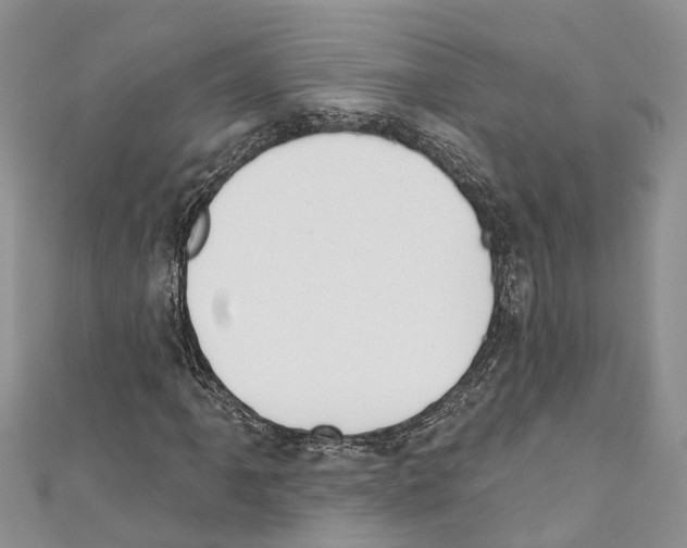 X0000110701061200907241120