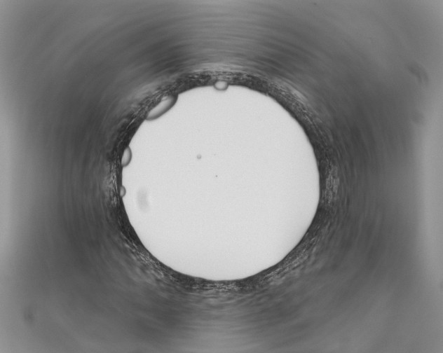 X0000110701062200907241120