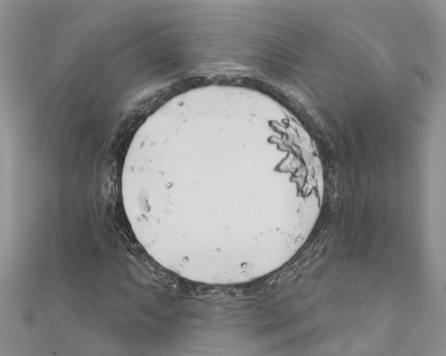 X0000110701063200907241120