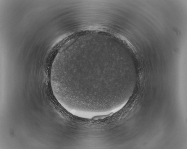 X0000110701064200907241120