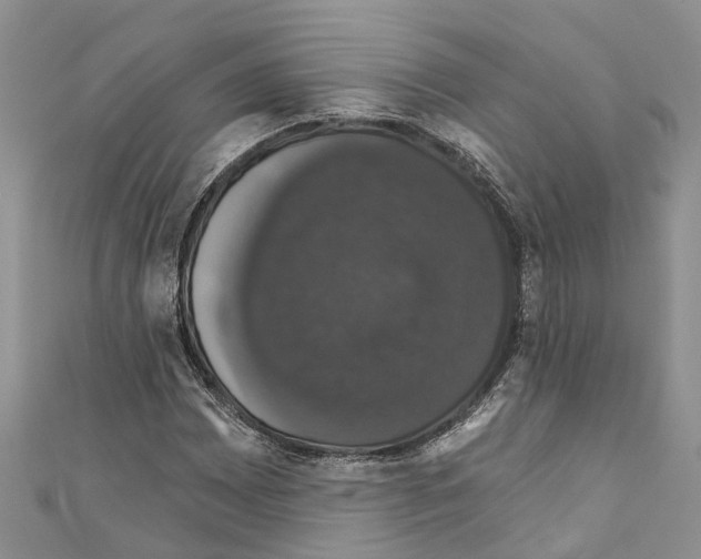 X0000110701065200907241120