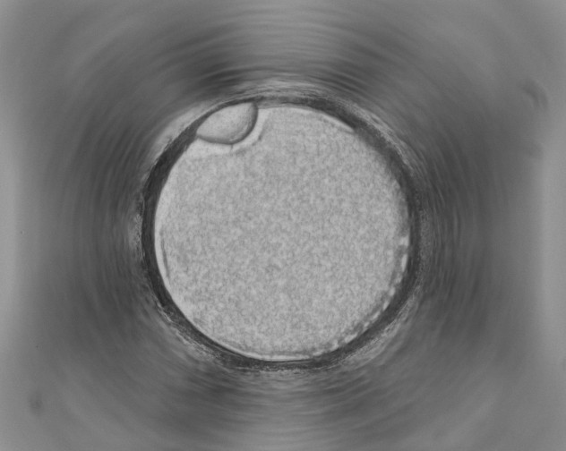 X0000110701066200907241120