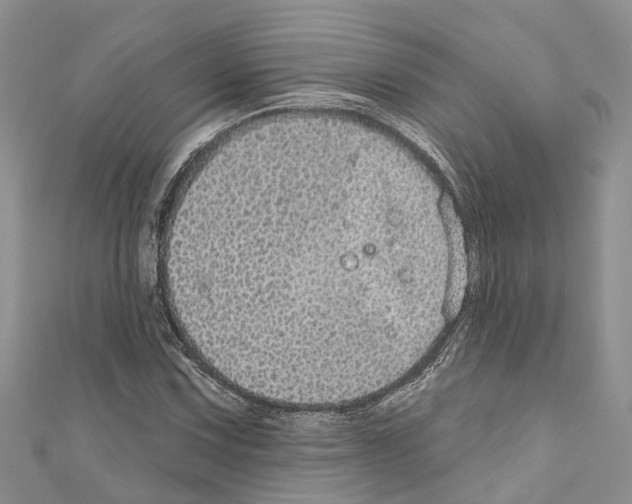 X0000110701067200907241120