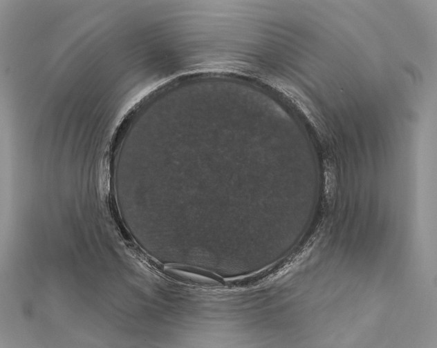 X0000110701069200907241120