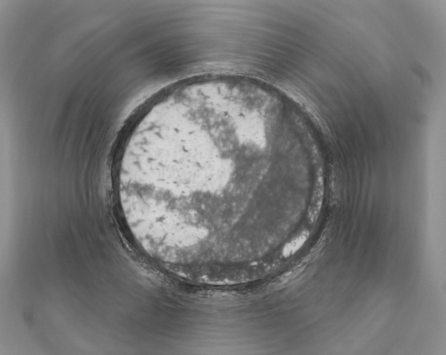 X0000110701070200907241120
