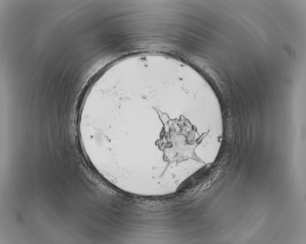 X0000110701071200907241120