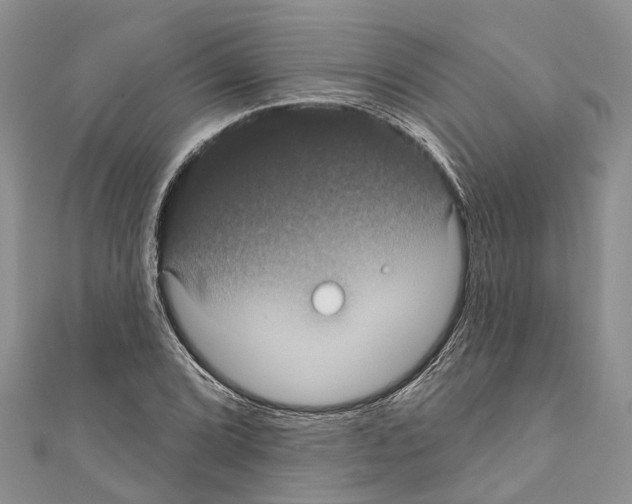 X0000110701072200907241120
