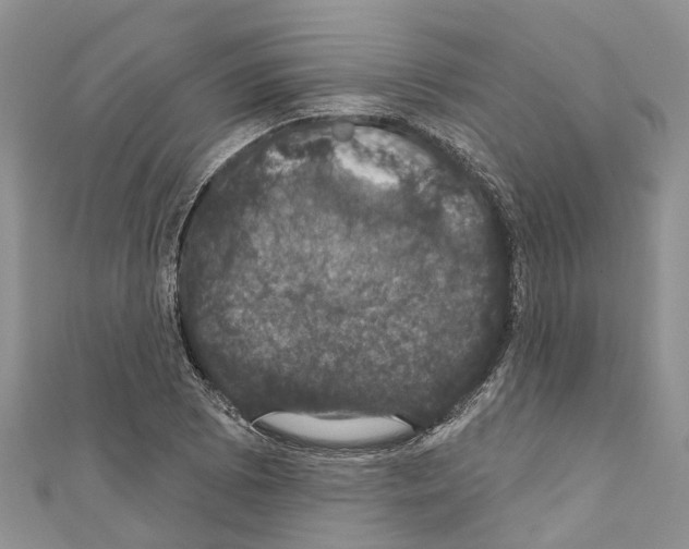 X0000110701073200907241120