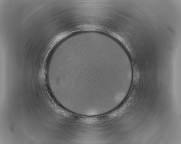 X0000110701074200907241120