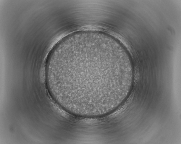 X0000110701075200907241120