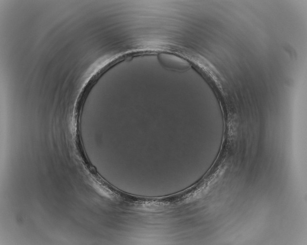 X0000110701077200907241120