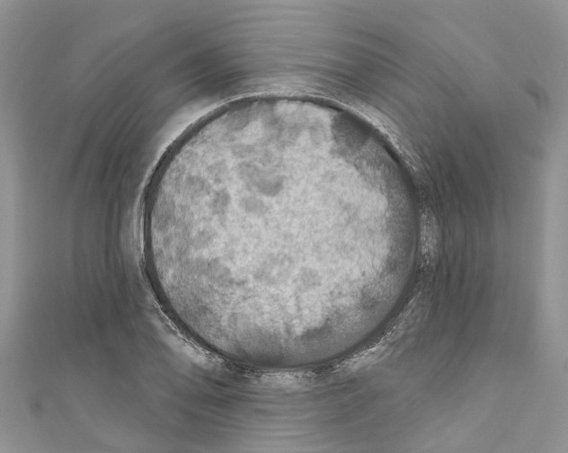 X0000110701078200907241120