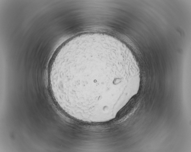 X0000110701079200907241120