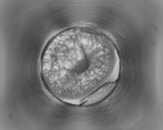 X0000110701080200907241120