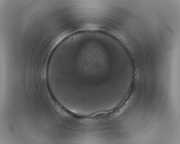 X0000110701081200907241120