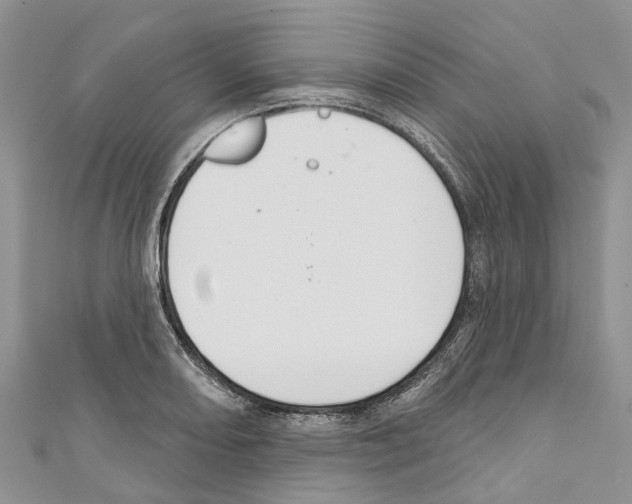 X0000110701082200907241120