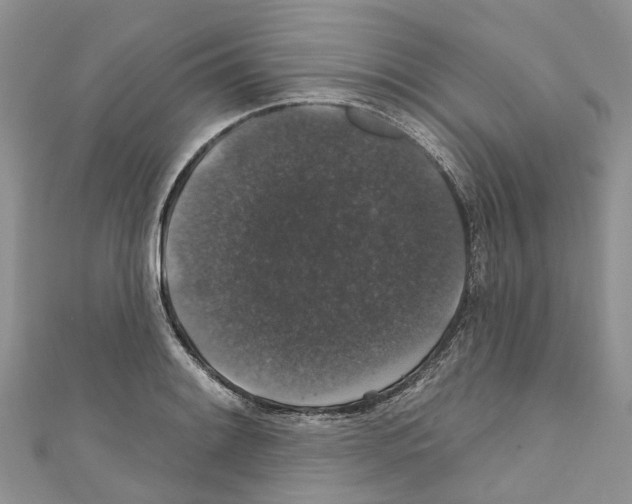 X0000110701084200907241120