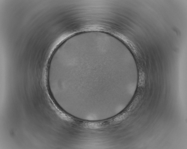 X0000110701086200907241120