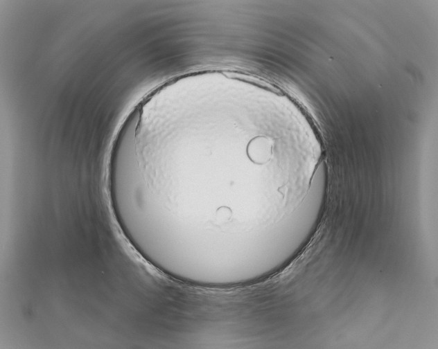 X0000110701088200907241120