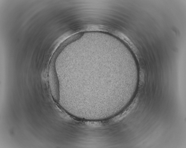 X0000110701089200907241120