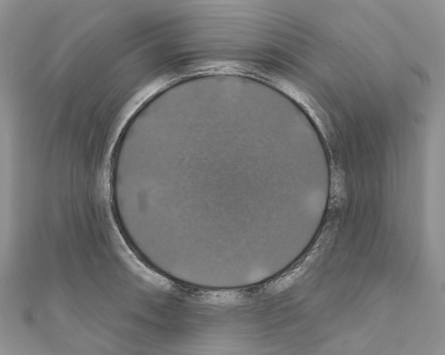 X0000110701090200907241120