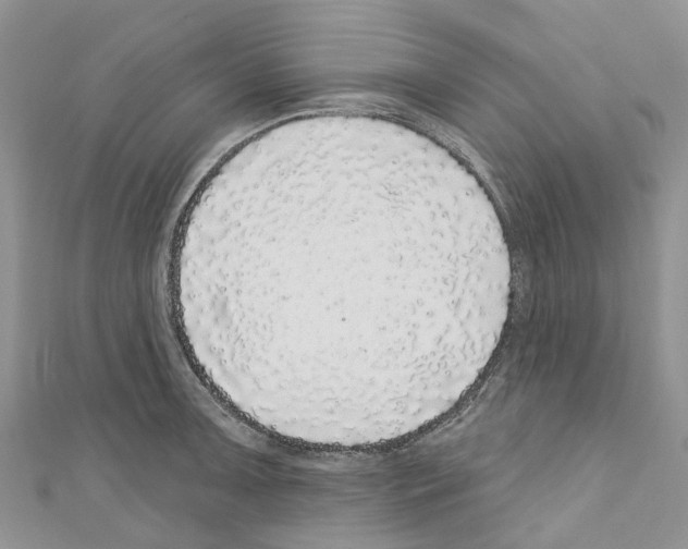 X0000110701091200907241120