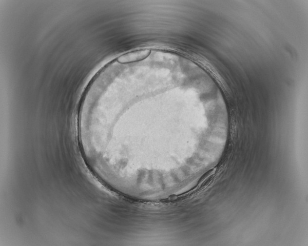 X0000110701092200907241120